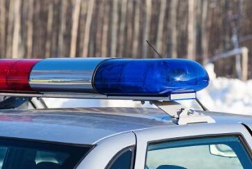 На Камчатке нашли пропавшую девятилетнюю девочку