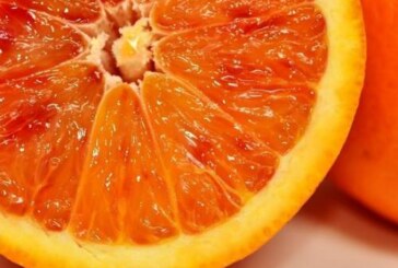 К чему ведет недостаток и переизбыток витаминов весной