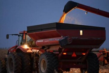 СМИ: новые правила ЕС дадут России власть над рынком продовольствия Европы