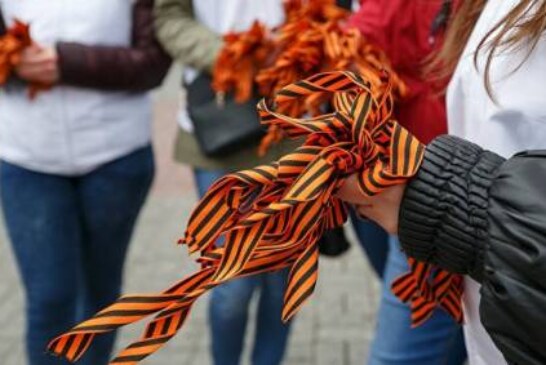 Идея участия собак в «Бессмертном полку» вызвала споры в Калининграде
