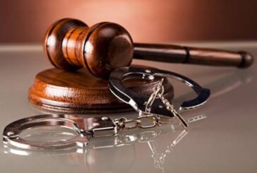 Во Франции задержали экс-сенатора за дебош в баре
