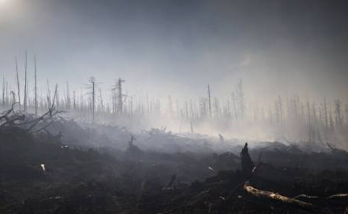 На Дальнем Востоке отметили рост площади лесных пожаров