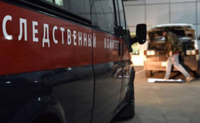 Жителя Рязани, зарезавшего девочку на велосипеде, признали невменяемым