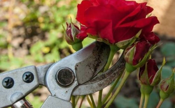 В Казани будут судить женщину, которая кастрировала экс-супруга: комментарий врача