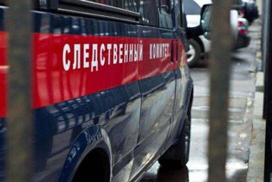 В Барнауле установили местонахождение пропавшей из соцучреждения девочки