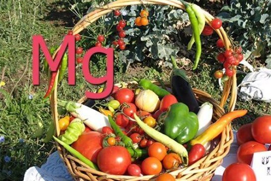 Нехватка магния? Вам помогут эти 4 продукта
