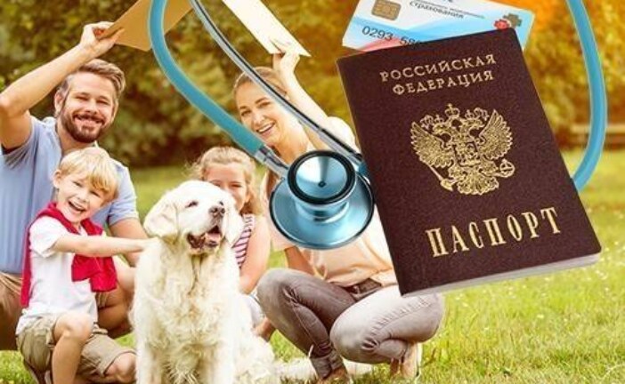 Познакомьтесь со своим страховым представителем