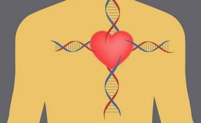 Неустойчивость доходов молодости ведет к преждевременной смерти, инфарктам, инсультам