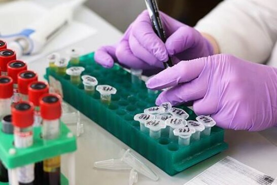 Папилломавирус, Helicobacter и кошачья двуустка: инфекции, причастные к развитию рака