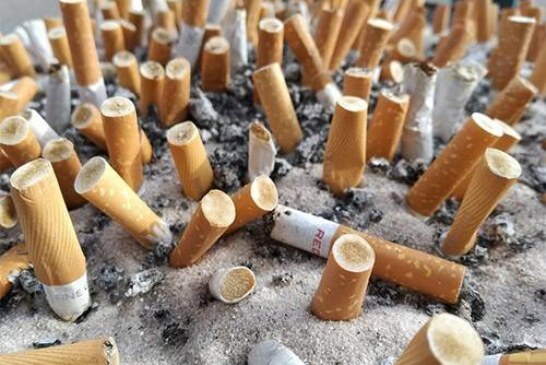 Легкие сигареты вызывают рак легкого и убивают так же эффективно, как обычные