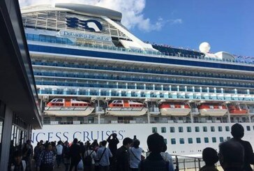 Второй россиянин инфицирован коронавирусом на борту Diamond Princess