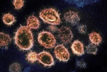 Коронавирус: Инфекция быстро распространяется в Южной Корее, Италии и Иране