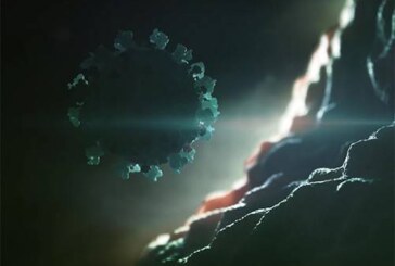 Коронавирус: Количество новых случаев резко сократилось