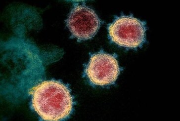 Число жертв коронавируса за сутки — 98, инфицированы 1868  человек