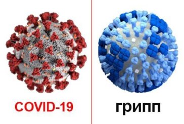 Чем коронавирус отличается от гриппа, и как перестать паниковать?