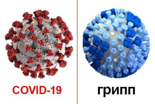 Чем коронавирус отличается от гриппа, и как перестать паниковать?