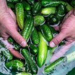 Нужно ли мыть продукты мылом, уксусом и отбеливателем?