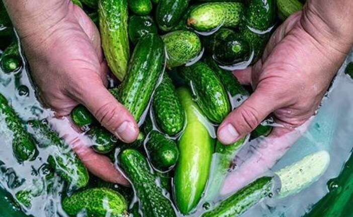 Нужно ли мыть продукты мылом, уксусом и отбеливателем?