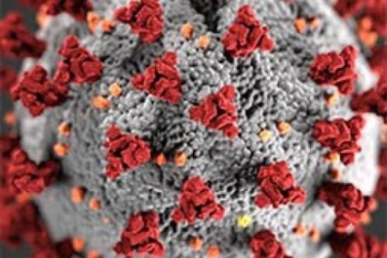 Коронавирусное заболевание (COVID-19): памятка для пациентов