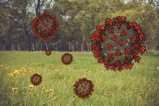Все, что мы знаем о сезонности COVID-19 сегодня