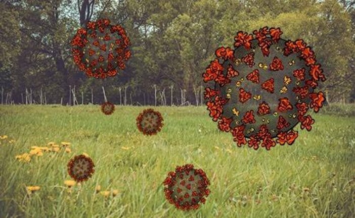Все, что мы знаем о сезонности COVID-19 сегодня